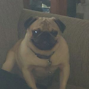 Meet your Posher, Joshua